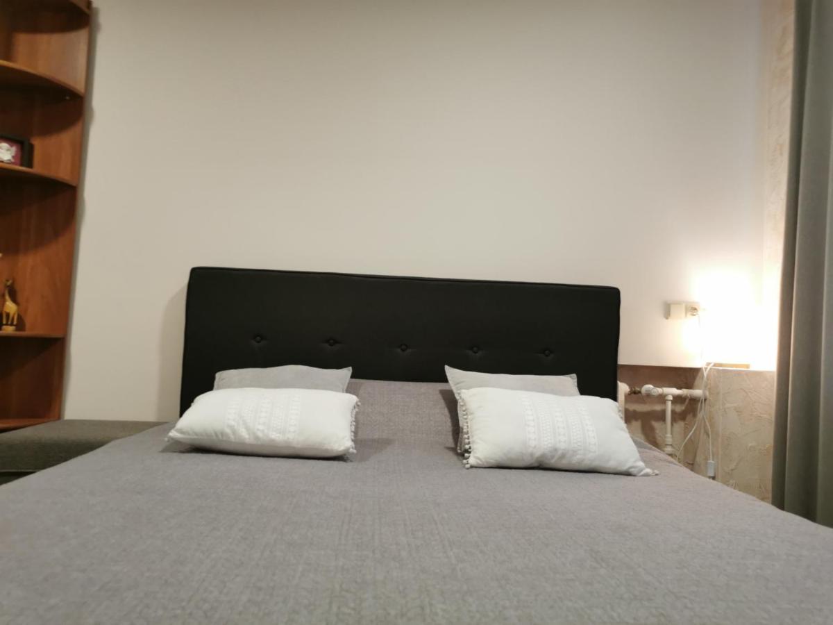 Central Apartments Nojus Druskininkai Kültér fotó